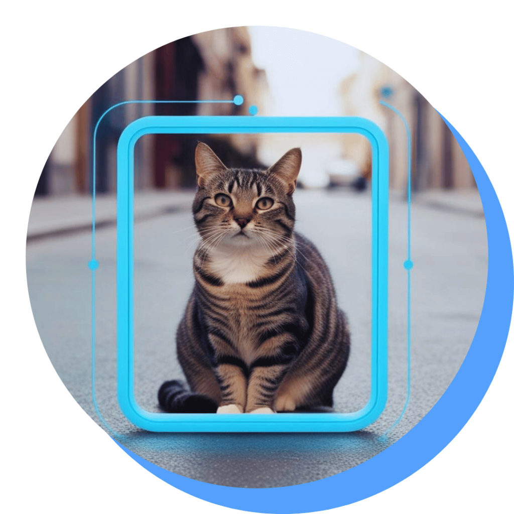 Picture of a cat recognised by Image Recognition.